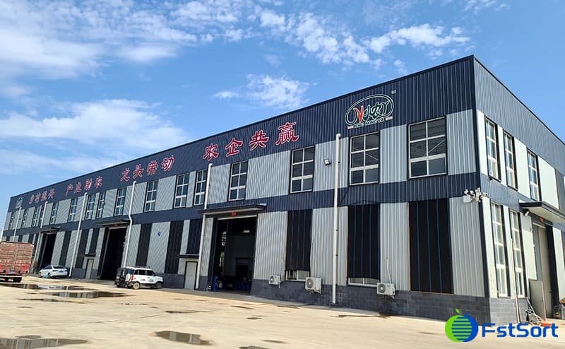 images/1692950507487sweet potato cleaning drying sorting line.jpg